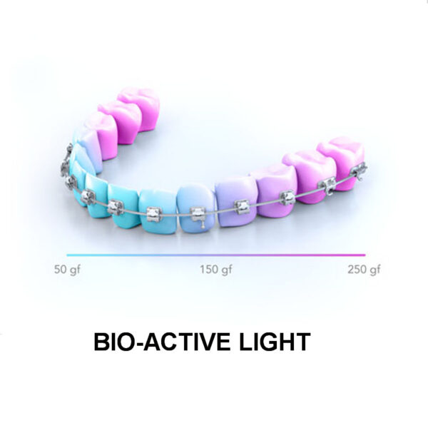 Bio-Active-Dark-Light_web